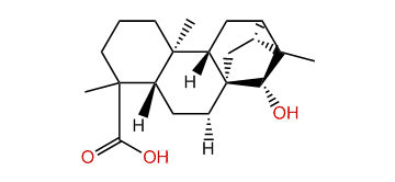 15beta-Hydroxy-ent-trachyloban-19-oic acid